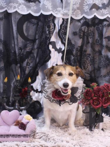 20231031こはるちゃん